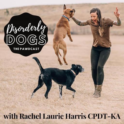 224. What does it take to travel with a dog?!