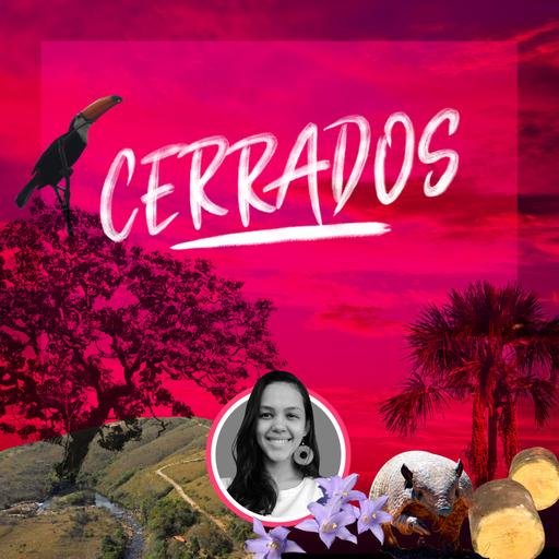 Resistir para existir (Ep 01 / 2ª Temporada)