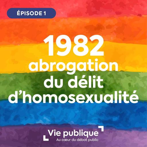 (1/2) Dépénalisation de l'homosexualité : le vote de la loi