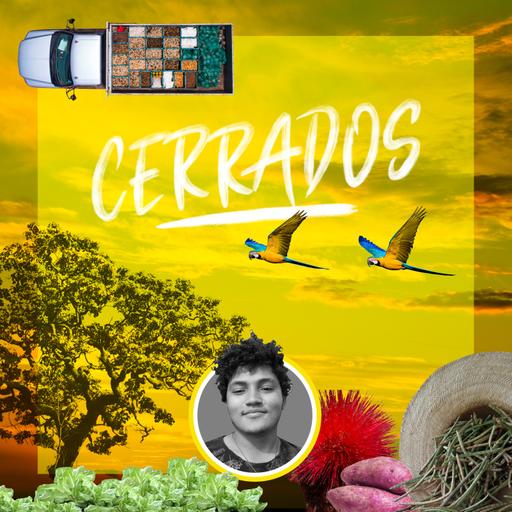 Plantar Saúde (Ep 03 / 2ª Temporada)