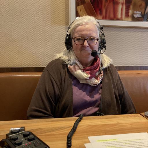 #43 Wie enstand der österreichische Berufsverband der Sozialen Arbeit (obds)?