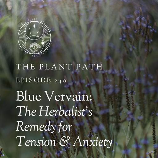 Blue Vervain: The Herbalist's Remedy for Tension & Anxiety