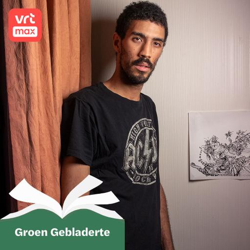 Stephan Louwes debuteert als graphic novel-auteur
