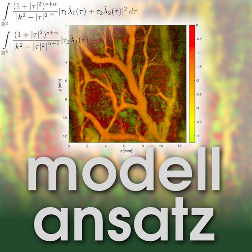 Photoacoustic Tomography