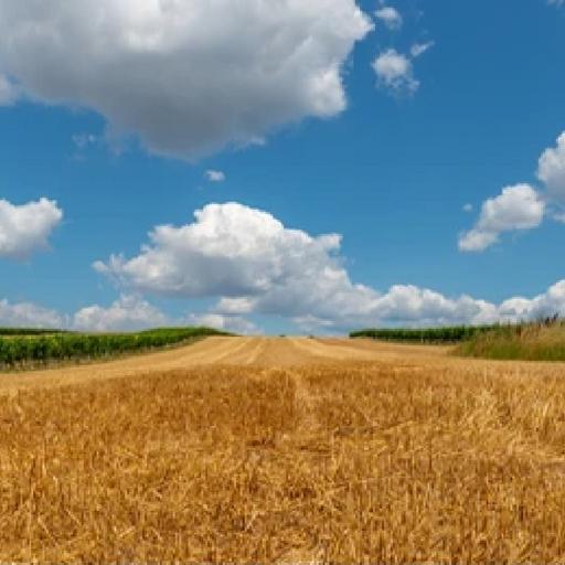 October 2022 WASDE: USDA Scissorhands