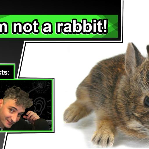 Jackrabbit Facts | 10 Animal Facts about Jackrabbits