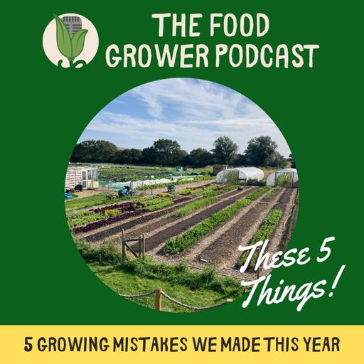 5 Growing Mistakes We Made This Year - These 5 Things Episode