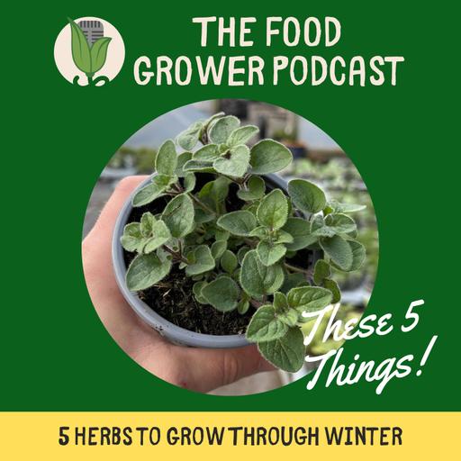 5 Herbs You Can Grow Through Winter - These 5 Things Episode