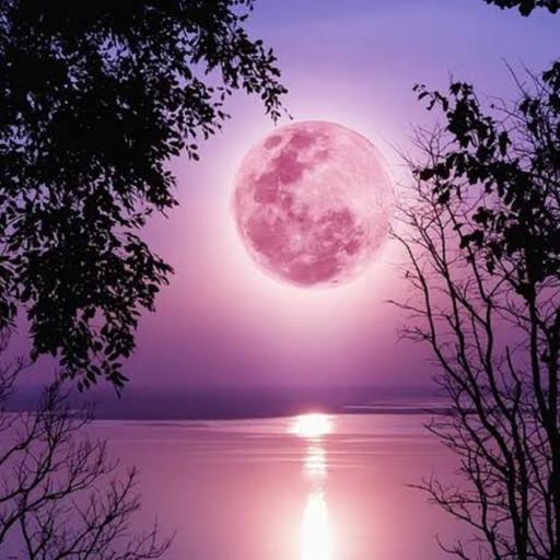 Pink Moon-Sleep Meditation