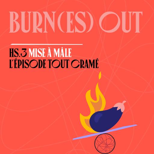 HS3 - Burn(es) out
