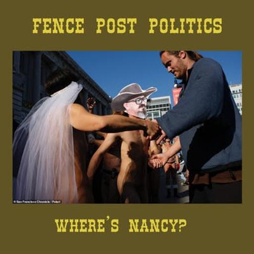 Fence Post Politics: Where's Nancy?