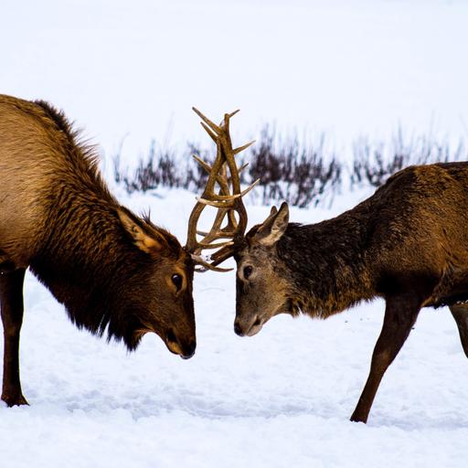Relation mère-fille #compliqué avec Laure