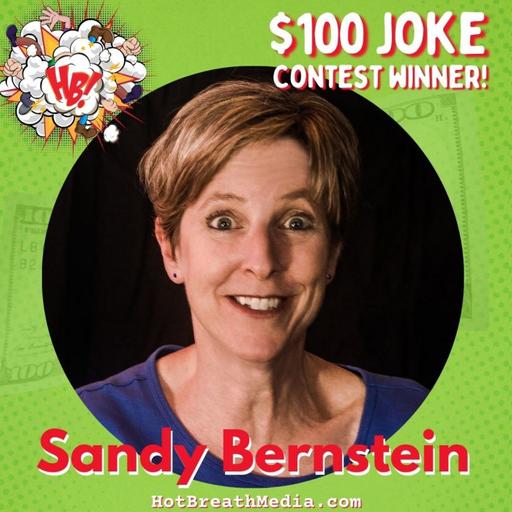 $100 Joke Contest Winner Sandy Bernstein: Breaking Writer's Block, Balancing Family and Comedy - comedy podcast