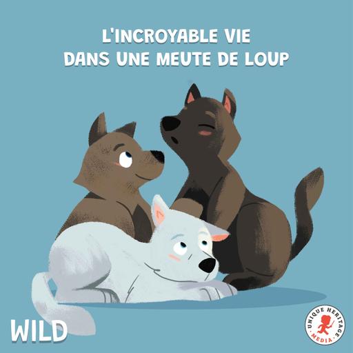 L'incroyable vie dans une meute de loups (Partie 1)