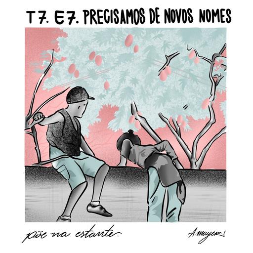 Precisamos de Novos Nomes, NoViolet Bulawayo