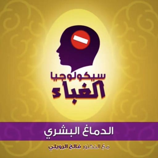 ‎⁨ 3 - الدماغ البشري⁩