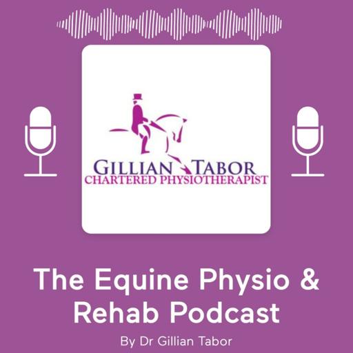 Saddle fitting from a physio's perspective