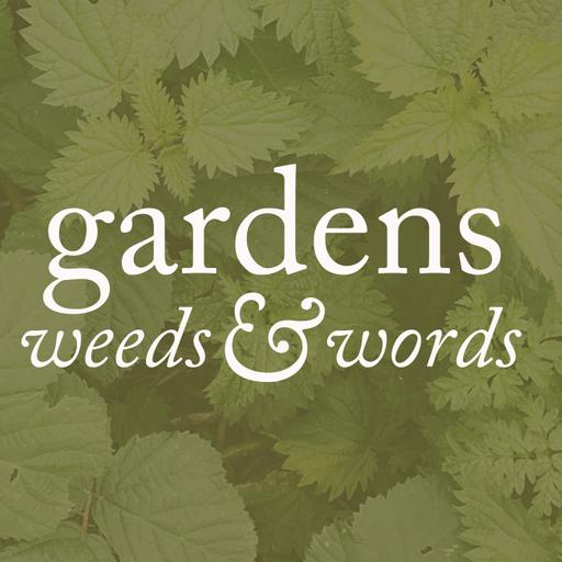 S03 Episode 6: Flower & Story. With Milli Proust