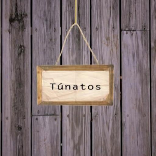 Úr savninum: Túnatos 10
