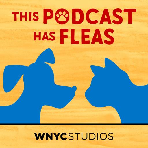 Presenting: This Podcast Has Fleas