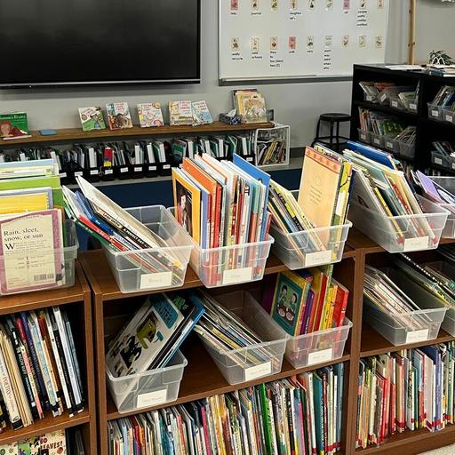 The economics lessons in kids' books