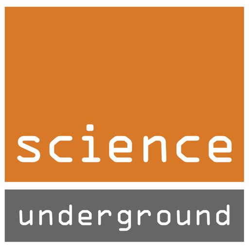 The Science of Fireworks