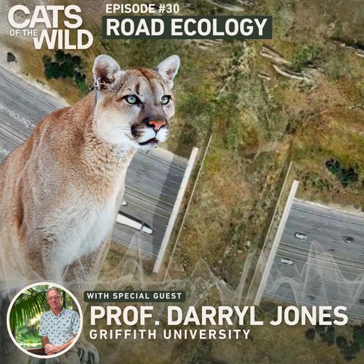 Road Ecology: Professor Darryl Jones, Griffith University