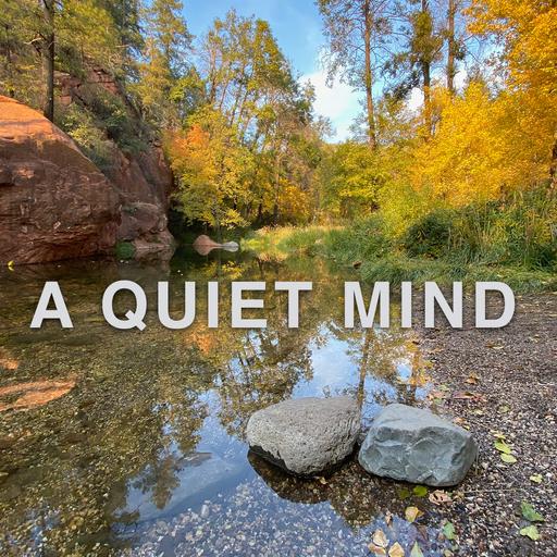 How to deal with anxiety and suffering using compassion and empathy.