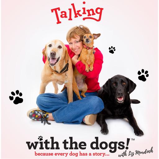 Dog Talk - Pet First Aid dogs want you to know!