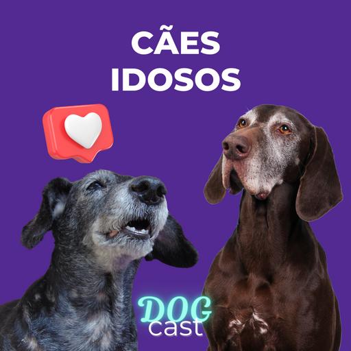 #20 - CÃES IDOSOS E COMPORTAMENTO