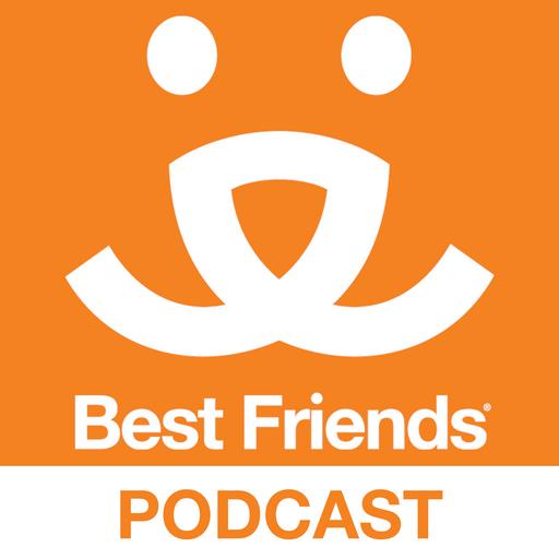 Building better boards (rebroadcast)