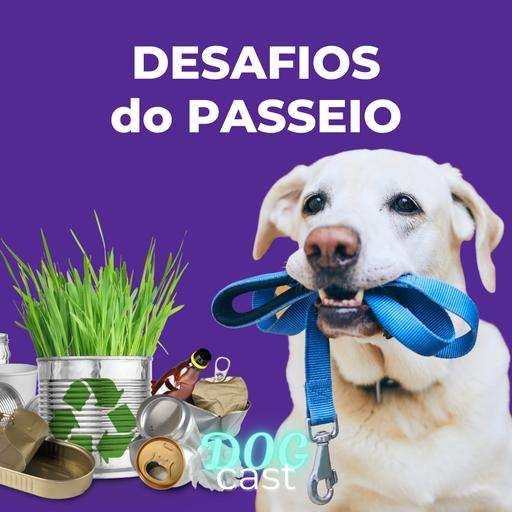 #22 - DESAFIOS DO PASSEIO