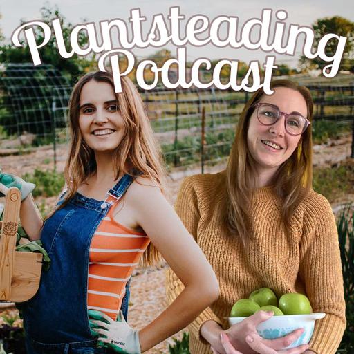 E29 - How We Approach Succession Planting