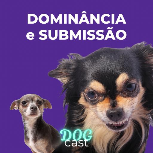 #23 - DOMINÂNCIA E SUBMISSÃO