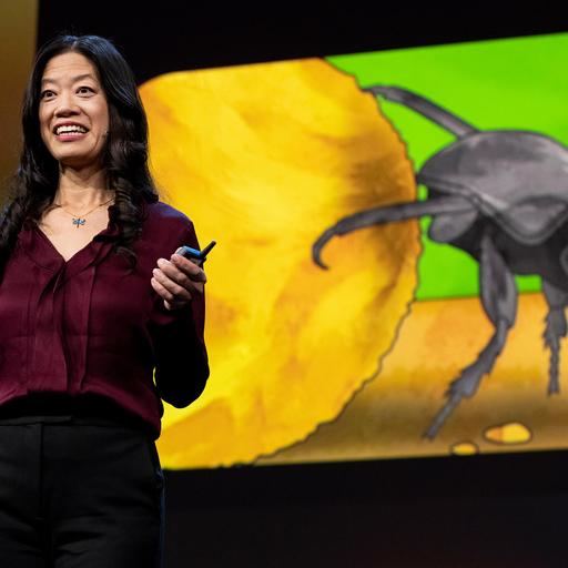 Os cérebros dos insetos são o segredo para uma ótima IA? | Frances S. Chance