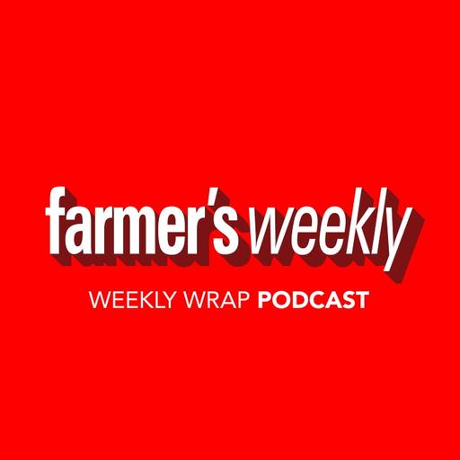 75. The Weekly Wrap – 15 October