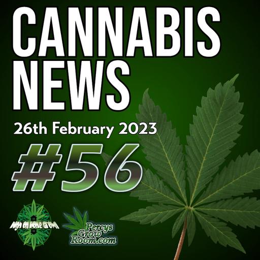 Are Sniffer Dogs Losing Jobs Due to Legalisation? | Woman Fined for Smelling of Cannabis in UK | Australian Nurses Move to Educate Patients About Cannabis | Cannabis News #56