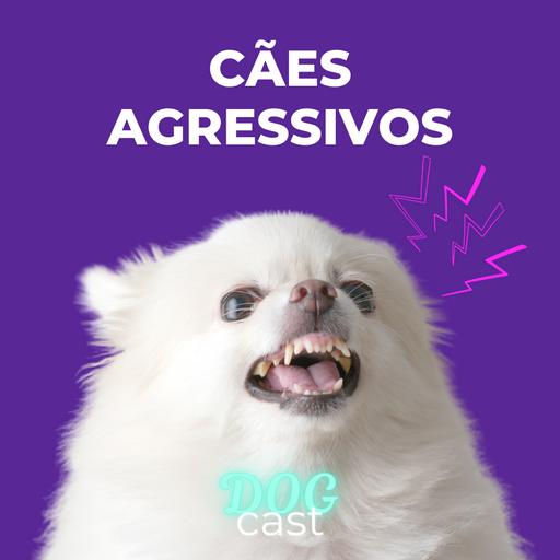 #24 - CÃES AGRESSIVOS