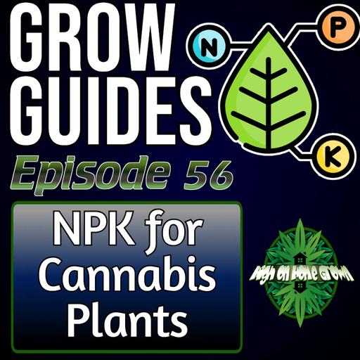 NPK for Growing Cannabis | Cannabis Grow Guides Episode 56
