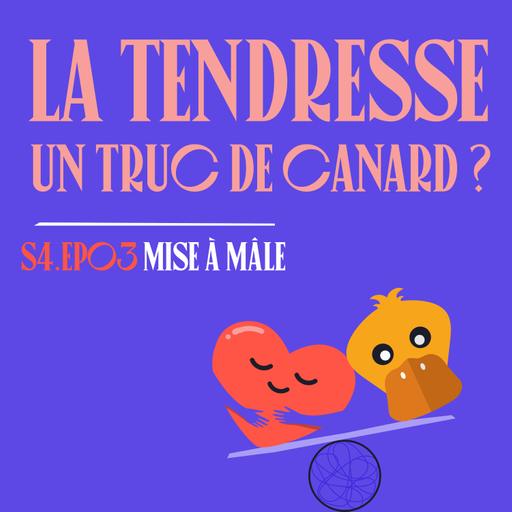 S04E03 - La tendresse, un truc de canard ?