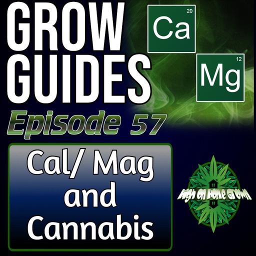 Cal Mag and Cannabis Plants | Cannabis Grow Guides Episode 57