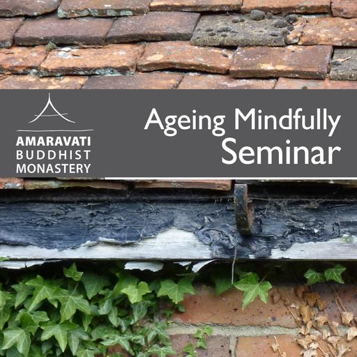 Day 1 – Introduction Ageing Mindfully Seminar