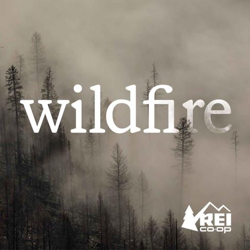 The Language of Wildfire