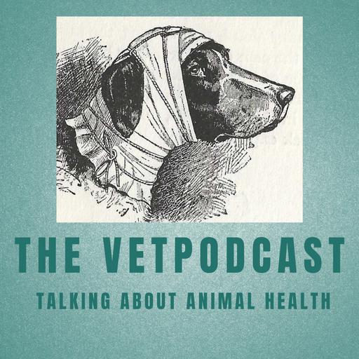 Episode 71: From surviving to thriving. We work in a tough profession. How good is your mental wellbeing?