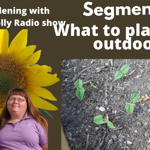 Episode 987: Segment 1 of S7E2 what to plant 1st first is the garden -The Gardening with Joey and Holly Radio show