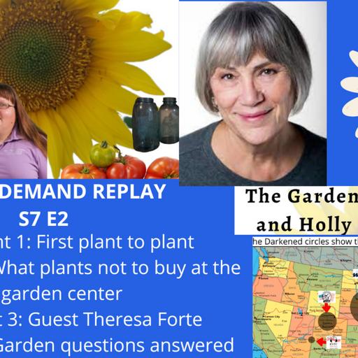 Episode 986: S7E2 what to plant 1st first, plants not to buy at garden center, Guest Theresa Forte -The Gardening with Joey and Holly Radio show