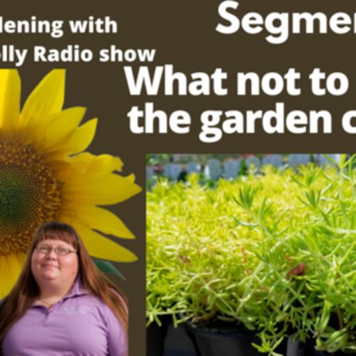 Episode 988: Seg 2 of S7E2 what plants not to buy at garden center -The Gardening with Joey and Holly Radio show