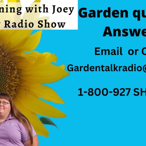 Episode 990: Seg4 S7E2 Garden questions answered, Filler, Grow lights, soaking seeds - The Gardeningwith Joey and Holly Radio show