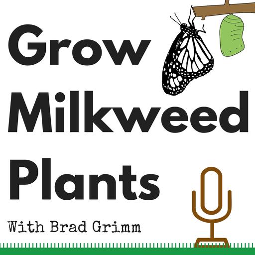 GMP 44: Giant Milkweed and Hawaiian Monarchs of Kauai Hawaii