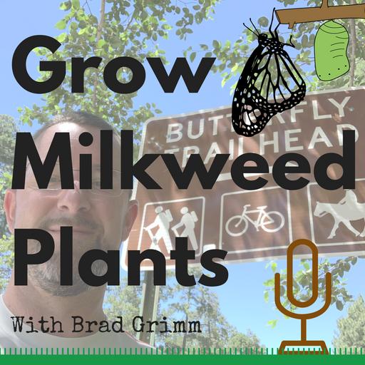 GMP 43: Tucson Area Milkweed